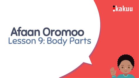 Lesson 9 Body Parts Learn Afaan Oromoo Through English Youtube
