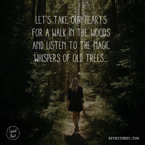 Lets Take Our Hearts For A Walk In The Woods And Listen To The Magic