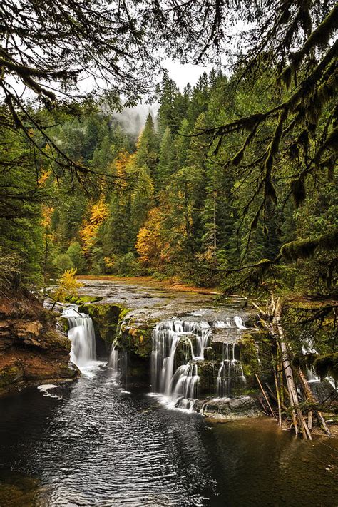 Lower Lewis River Falls In Falltime Photograph By Wes And Dotty Weber