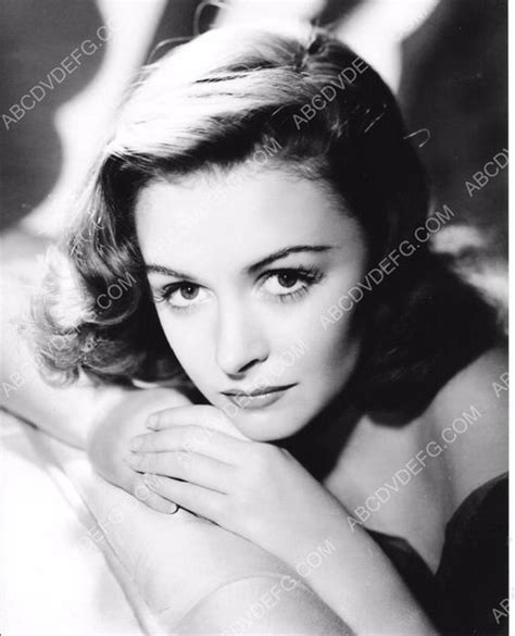 Lovely Donna Reed Portrait 8b20 11919 Abcdvdvideo