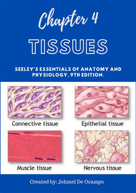 Copy Of Anatomy Physiology Chapter 4 Tissue Tissues Chapter 4