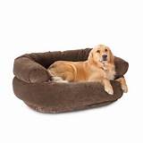 Photos of Orthopedic Beds For Dogs Canada