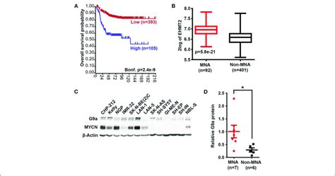 G9a Mrna And Protein Expression Correlate With Poor Prognosis And