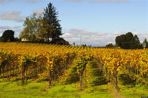 Discover The Hidden Charms Of California's Wine Country | HuffPost
