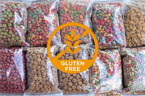 This is because recently it has been found that some auto immune disease may have sensitivity to certain foods and the proteins within. The Best Gluten Free Dog Food Brands for Dogs with Gluten ...