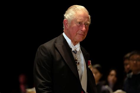 Prince Charles Revelation: Prince Of Wales No Views On 'The Crown' But ...