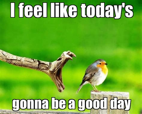 Today Is Going To Be A Great Day Meme Popularquotesimg