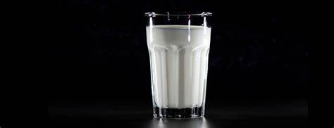 Почему белковые диеты вредны