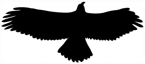 Transparent Eagle Silhouette Clip Art Library