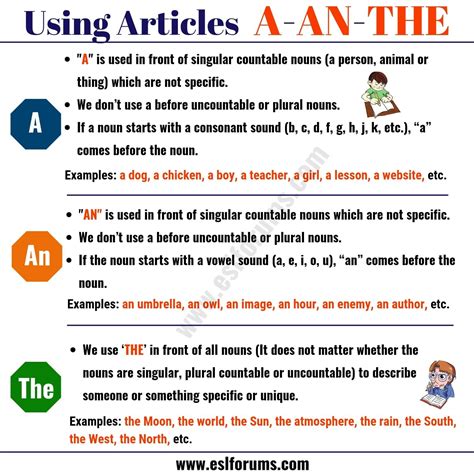 Difference Between Definite And Indefinite Articles In English