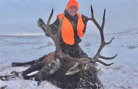 Elk Hunting Montana Hunting And Fishing