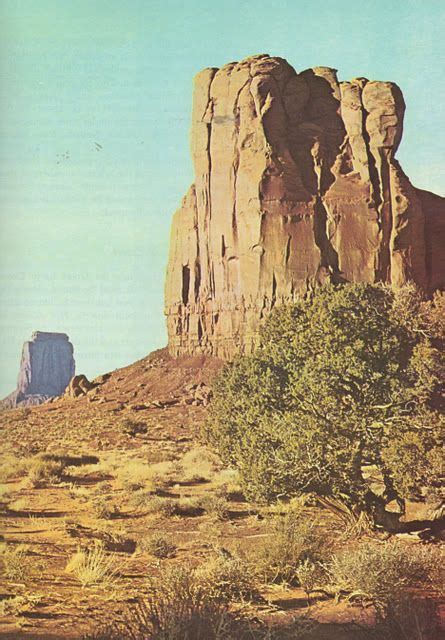 Vintage Desert Vintage Landscape Southwest Aesthetic American Road Trip