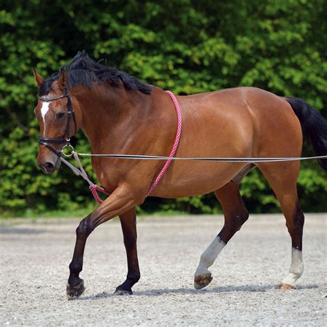 Waldhausen Rope Lungeing Aid Horse Training Aid