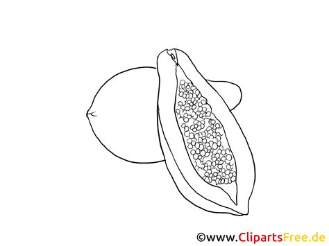 Avocat Dessin Coloriage Fruits à Télécharger Fruits Coloriages