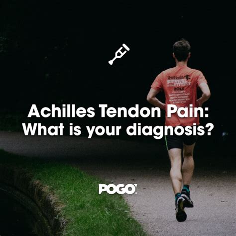 Achilles Tendon Pain What Is Your Diagnosis Pogo Physio Gold Coast