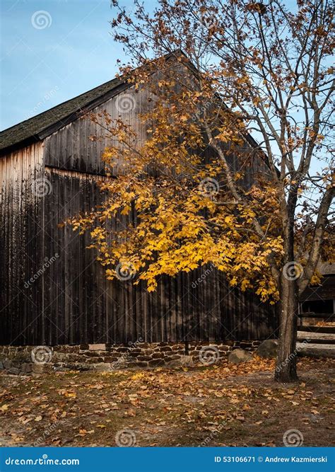 Golden Barn Stock Image Image Of Tree Landscape Autumn 53106671