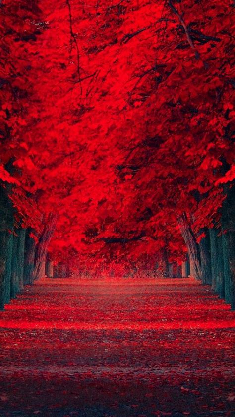 Pin By Kim Thiên Nữ Quái On Benim Beautiful Nature Wallpaper Autumn