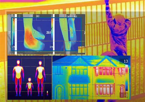 9 Best Thermal Imaging Cameras Of 2023