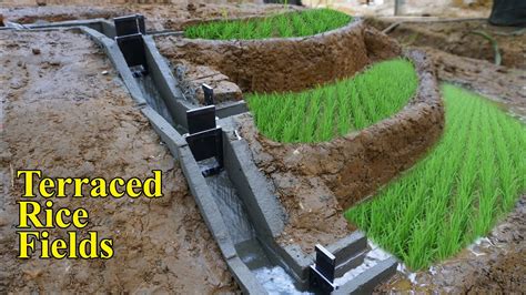 Construction Of Terraced Fields And Irrigation Systems Rice
