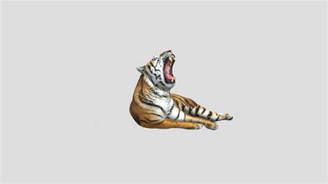 tiger download free 3d model by guankai [e7c6a34] sketchfab