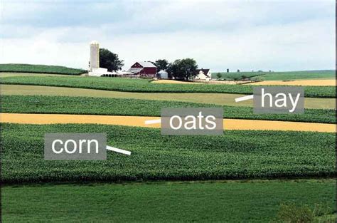 What Is Strip Cropping Explain With Diagram Don T Give Links Plz
