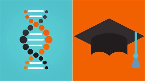 Do Genes Help Determine Your Education Level Everyday Health