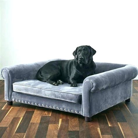 Maybe you would like to learn more about one of these? Best XL Dog Beds For Large Dogs & Giant Breeds | Dog bed ...