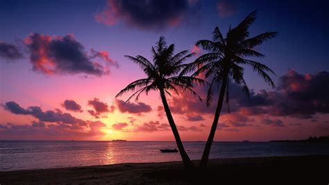12 Tropical Beach Paradise Sunset Wallpapers