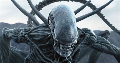 Alien 10 Facts You Didnt Know About The Xenomorph