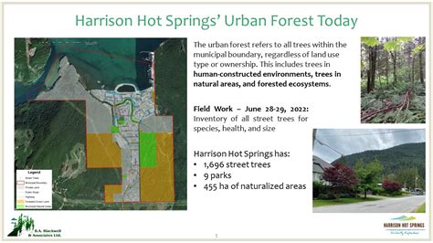 Urban Forest Management Plan Get Into It Harrison