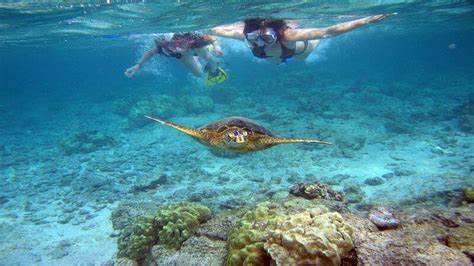 12 Best Places For Snorkeling In Honolulu Triphobo