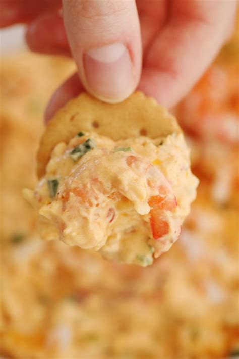 Sprouts, parsley flakes, unsalted butter, shrimp, red. This Shrimp Dip makes the perfect make ahead appetizer. In fact, as the dip rests in the ...