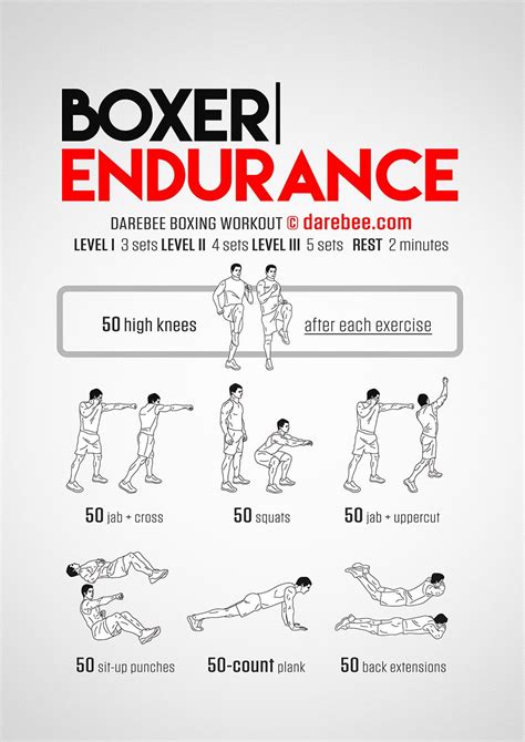 Boxer Endurance Workout Endurance Workout Boxing Training Workout