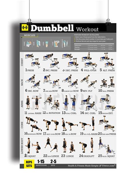 Dumbbell Exercises Workout Poster Now Laminated Home Gym Workout