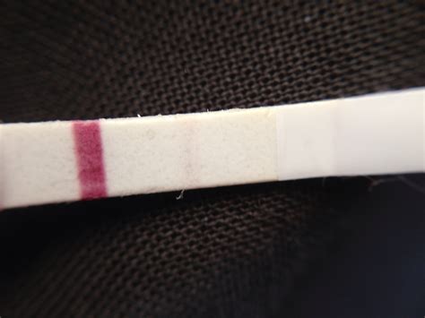 Pregnancy Test Sacha Black