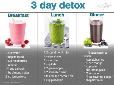 Juice bars are popping up everywhere for good reason! Homemade 3 Day Juice Cleanse Weight Loss - Homemade Ftempo