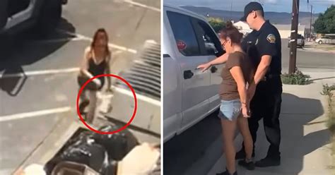 Woman Who Threw A Bag Of Seven Newborn Puppies Into A Trash Bin In Coachella Has Been