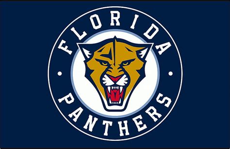 Florida Panther 1080p 2k 4k 5k Hd Wallpapers Free Download