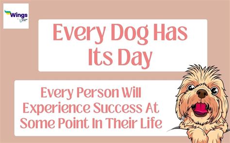 Every Dog Has Its Day Meaning Examples Synonyms Leverage Edu