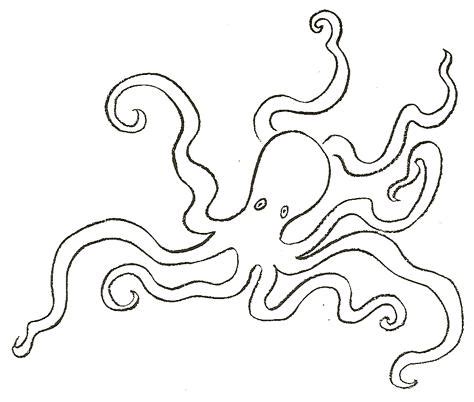 See more ideas about easy octopus drawing, octopus drawing, octopus. How to Draw Octopus : Drawing Tutorials & Drawing & How to ...