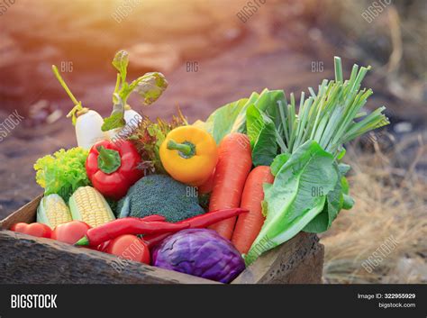 Organic Vegetables On Image And Photo Free Trial Bigstock