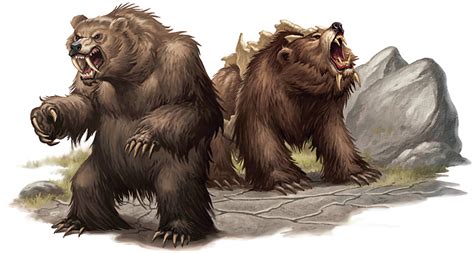 Bear Forgotten Realms Wiki Fandom Powered By Wikia