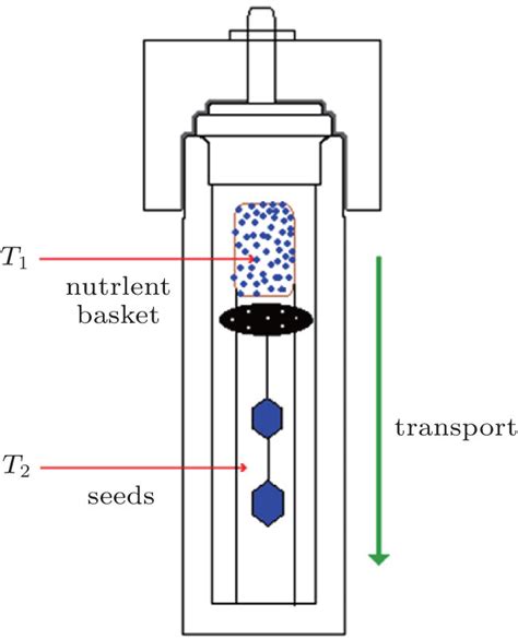 Schematic Diagram Of Autoclave For Ammonothermal Growth Of Gan