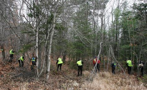 Police Search Woods For More Evidence Photo Galleries Poststar Com