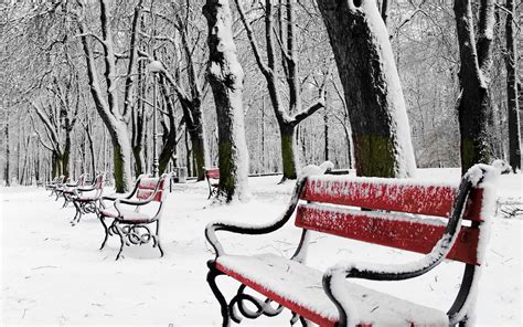 Bench Park Red Snow Tree Winter Wallpaper 1920x1200 1192148