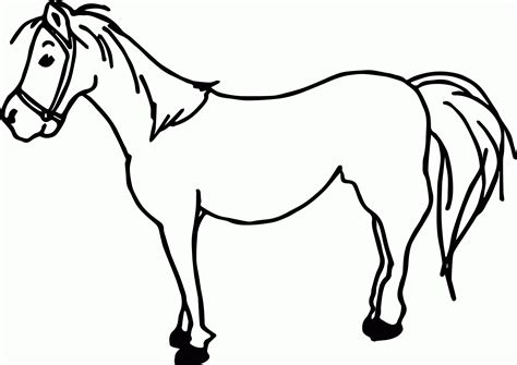 Horse Cartoon Coloring