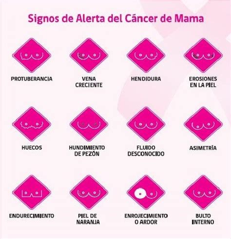 ¿qué Es El Cáncer De Mama Estusalud