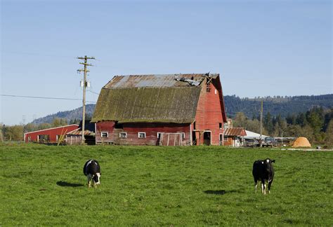 Farms Near Salem Oregon Farms Near Salem Oregon Flickr