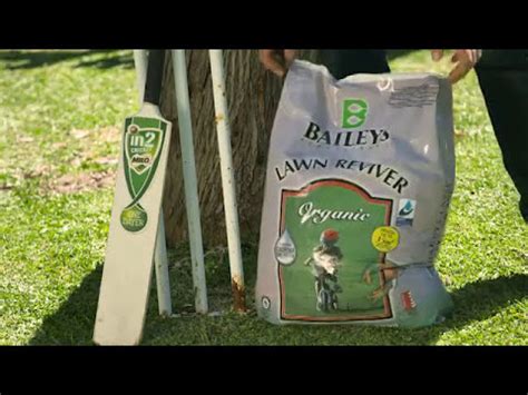 Baileys Lawn Reviver The Garden Gurus YouTube
