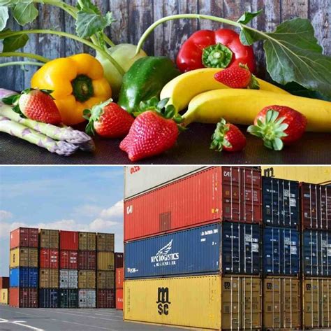 Start Fruits And Vegetable Export Business Idea2makemoney